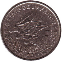 Африканские антилопы. (Западные канны). Монета 50 франков. 1981 год (C), Центральные Африканские штаты. 