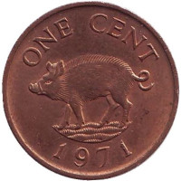 Поросенок. Монета 1 цент, 1971 год, Бермудские острова. 