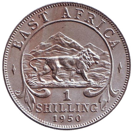 Монета 1 шиллинг. 1950 год, Восточная Африка. (Без отметки монетного двора) Лев.