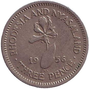 Монета 3 пенса. 1956 год, Родезия и Ньясаленд. Глориоза (Пламенная лилия).