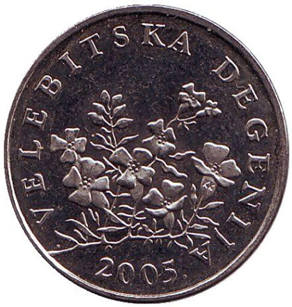 2005-1qs.jpg