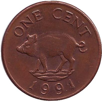 Монета 1 цент, 1991 год, Бермудские острова. Поросенок.