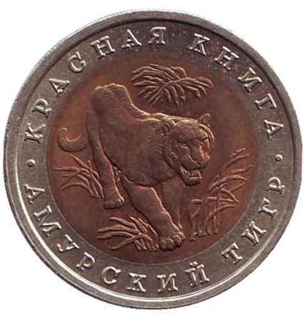 Монета 10 рублей, 1992 год, Россия. Амурский тигр (серия "Красная книга").