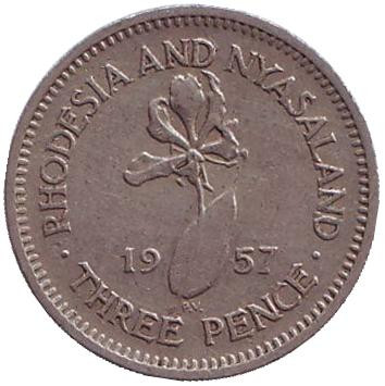 Монета 3 пенса. 1957 год, Родезия и Ньясаленд. Глориоза (Пламенная лилия).