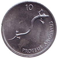 Европейский протей. Монета 10 стотинов. 1992 год, Словения.