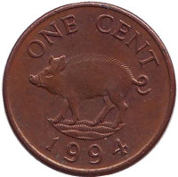Поросенок. Монета 1 цент, 1994 год, Бермудские острова. 