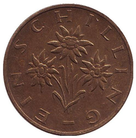 Монета 1 шиллинг. 1979 год, Австрия. Эдельвейс.