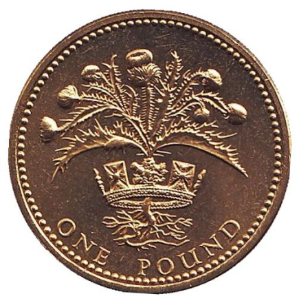 Монета 1 фунт. 1984 год, Великобритания. BU. Чертополох.