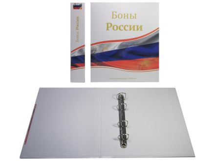 Альбом вертикальный 230х270 мм (Оптима), для банкнот России без листов. Производство Россия.