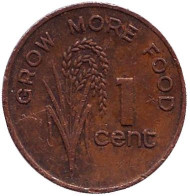 Монета 1 цент. 1981 год, Фиджи. FAO. Монета 1 цент. 1981 год, Фиджи. FAO.