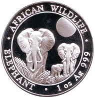 Монета 100 шиллингов. 2014 год, Сомали. Слоны. Монета 100 шиллингов. 2014 год, Сомали. Слоны.