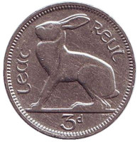 Заяц. Монета 3 пенса. 1934 год, Ирландия. 