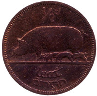 Свинья. Монета 1/2 пенни, 1935 год, Ирландия. 