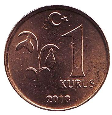 Монета 1 куруш. 2018 год, Турция.