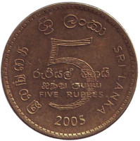 Монета 5 рупий. 2005 год, Шри-Ланка. 