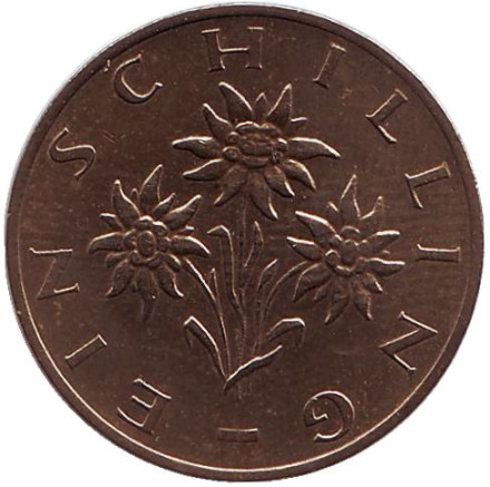 Монета 1 шиллинг. 1990 год, Австрия. Эдельвейс.