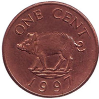 Поросенок. Монета 1 цент, 1997 год, Бермудские острова. 