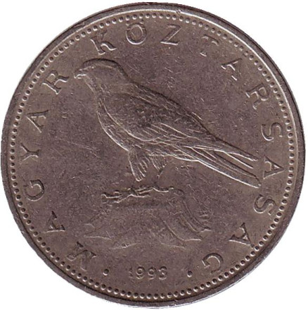 Монета 50 форинтов. 1993 год, Венгрия. Сокол (Балобан).