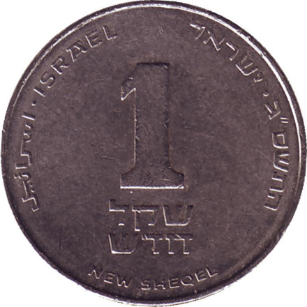 Монета 1 новый шекель. 2003 год, Израиль. (Без подсвечника).