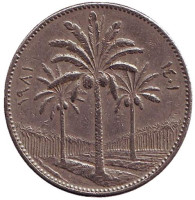 Пальмовые деревья. Монета 50 филсов, 1981 год, Ирак. 
