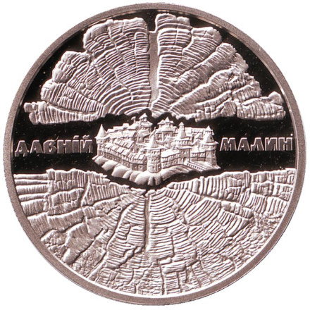 Монета 5 гривен. 2016 год, Украина. Древний Малин.