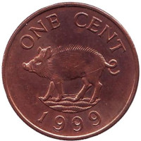 Поросенок. Монета 1 цент, 1999 год, Бермудские острова. 