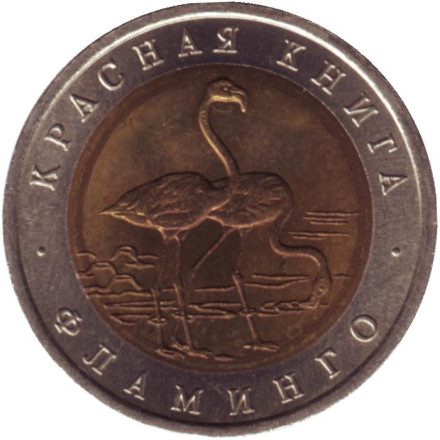 Монета 50 рублей, 1994 год, Россия. Фламинго (серия "Красная книга").