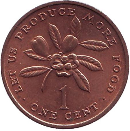 Монета 1 цент, 1972 год, Ямайка. Тип 1. ФАО. Аки. (Блигия вкусная).