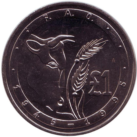 Монета 1 фунт. 1995 год, Кипр. 50 лет ФАО. FAO. Корова.