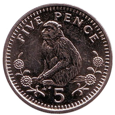 Монета 5 пенсов. 1989 год, Гибралтар. (AB) Варварийская обезьяна.
