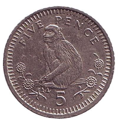 Монета 5 пенсов. 1994 год, Гибралтар. Варварийская обезьяна.