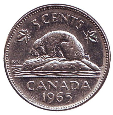 Монета 5 центов. 1965 год, Канада. Из обращения. Бобр.