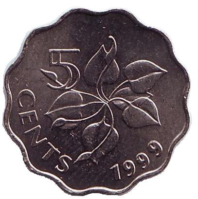 Монета 5 центов. 1999 год, Свазиленд. Орхидея.