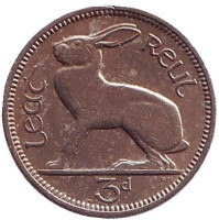 Заяц. Монета 3 пенса. 1950 год, Ирландия.