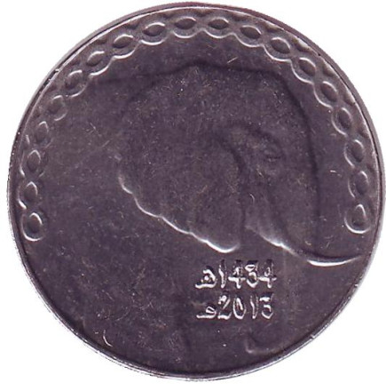 Монета 5 динаров. 2013 год, Алжир. Слон.