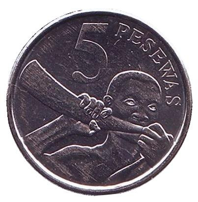 Монета 5 песев. 2016 год, Гана.