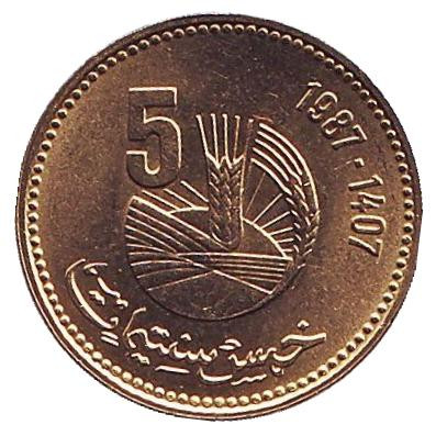 Монета 5 сантимов. 1987 год, Марокко. UNC. FAO.
