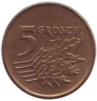 Монета 5 грошей. 1993 год, Польша. Дубовые листья. Монета 5 грошей. 1993 год, Польша. Дубовые листья.
