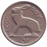Заяц. Монета 3 пенса. 1961 год, Ирландия.