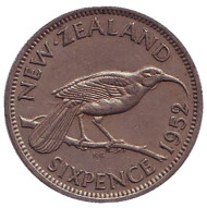 Монета 6 пенсов. 1952 год, Новая Зеландия. Гуйя. Монета 6 пенсов. 1952 год, Новая Зеландия. Гуйя.