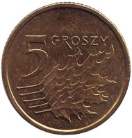 Монета 5 грошей. 2012 год, Польша. Дубовые листья. Монета 5 грошей. 2012 год, Польша. Дубовые листья.