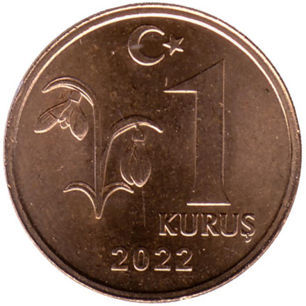 Монета 1 куруш. 2022 год, Турция.