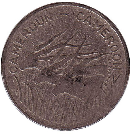 Монета 100 франков. 1975 год, Камерун. Африканские антилопы. (Западные канны).