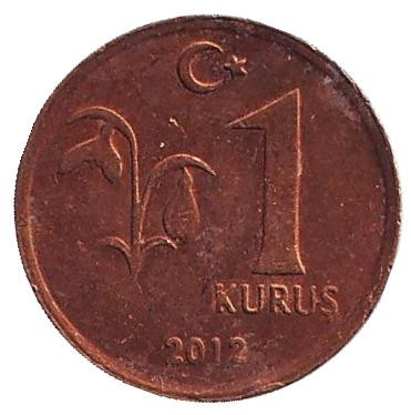 Монета 1 куруш. 2012 год, Турция.