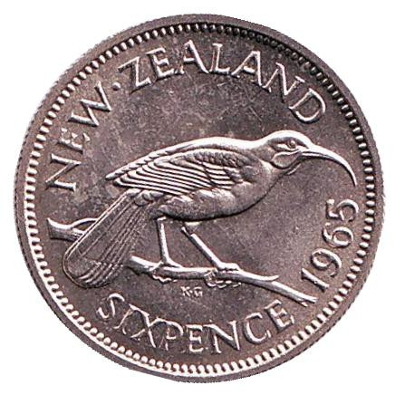 Монета 6 пенсов. 1965 год, Новая Зеландия. UNC. Гуйя.