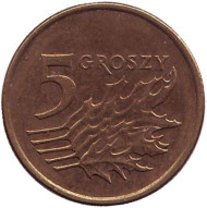 Монета 5 грошей. 2002 год, Польша. Дубовые листья. Монета 5 грошей. 2002 год, Польша. Дубовые листья.