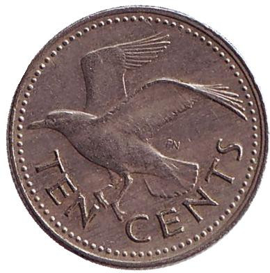 Монета 10 центов. 1973 год, Барбадос. Чайка.