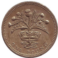 Чертополох. Монета 1 фунт. 1984 год, Великобритания. 