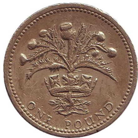 Монета 1 фунт. 1984 год, Великобритания. Чертополох.