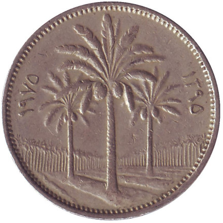 Монета 25 филсов. 1975 год, Ирак. Пальмы.